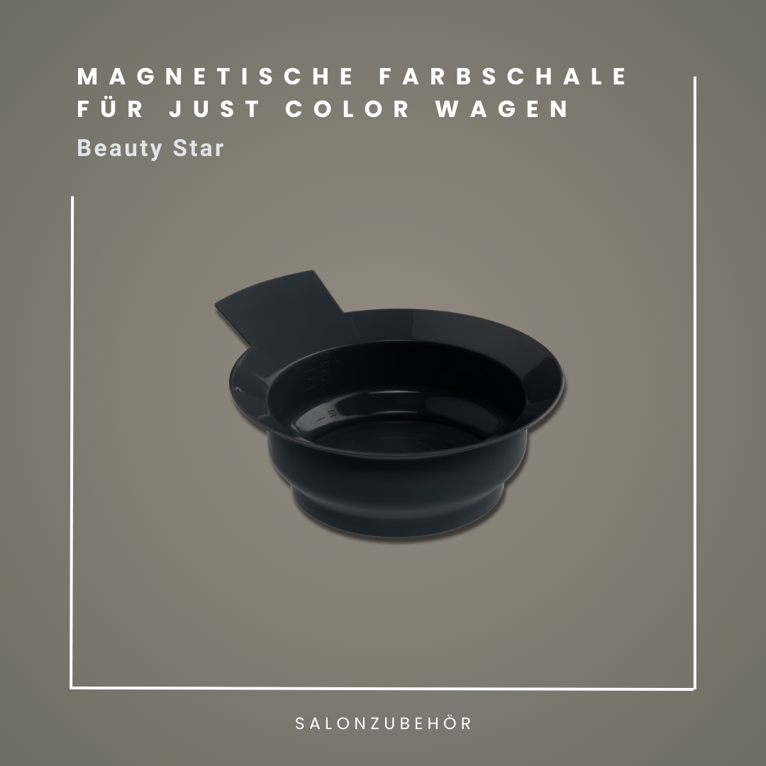 MAGNETISCHE FARBSCHALE | für Just Color